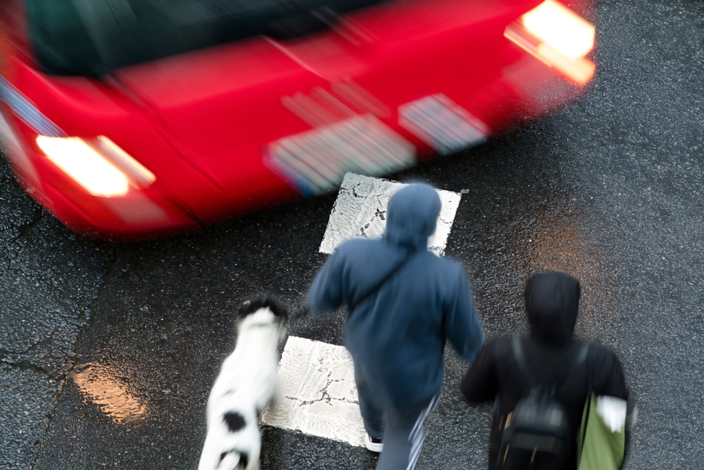Pedestrians and a dog crossing as a car approaches, showing the risk of pedestrian accidents.
